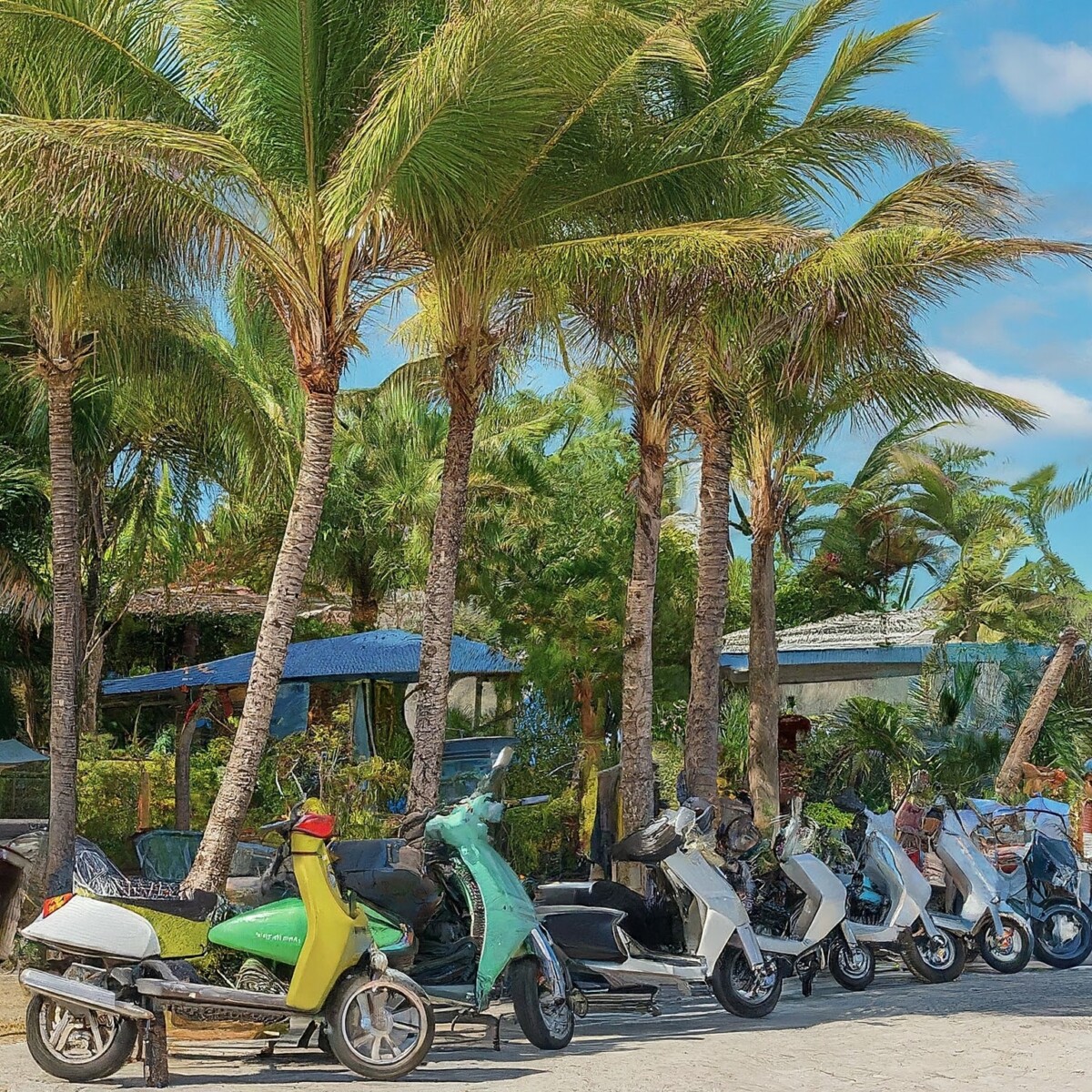 2-Wheel Wonders: Local SEO for Scooter Rentals in Bali